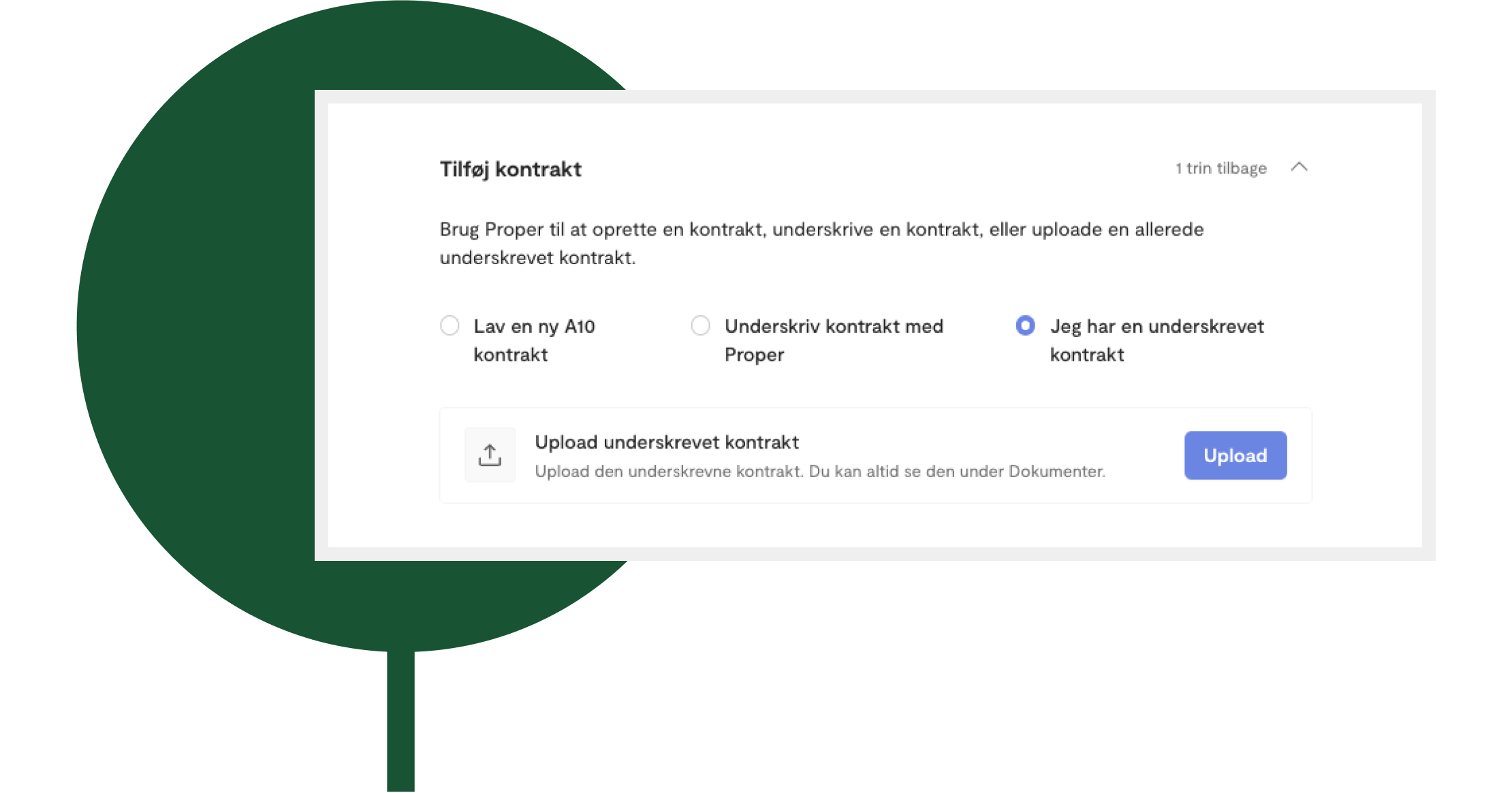 DK06 (2).png